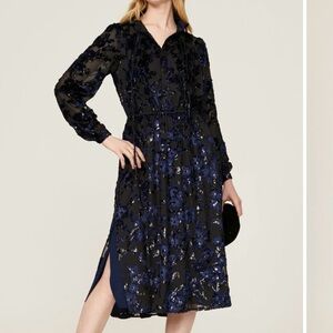 Adam Lippes Embroidered Midi Dress Floral Velvet Burnout Whimsigoth Size‎ 4